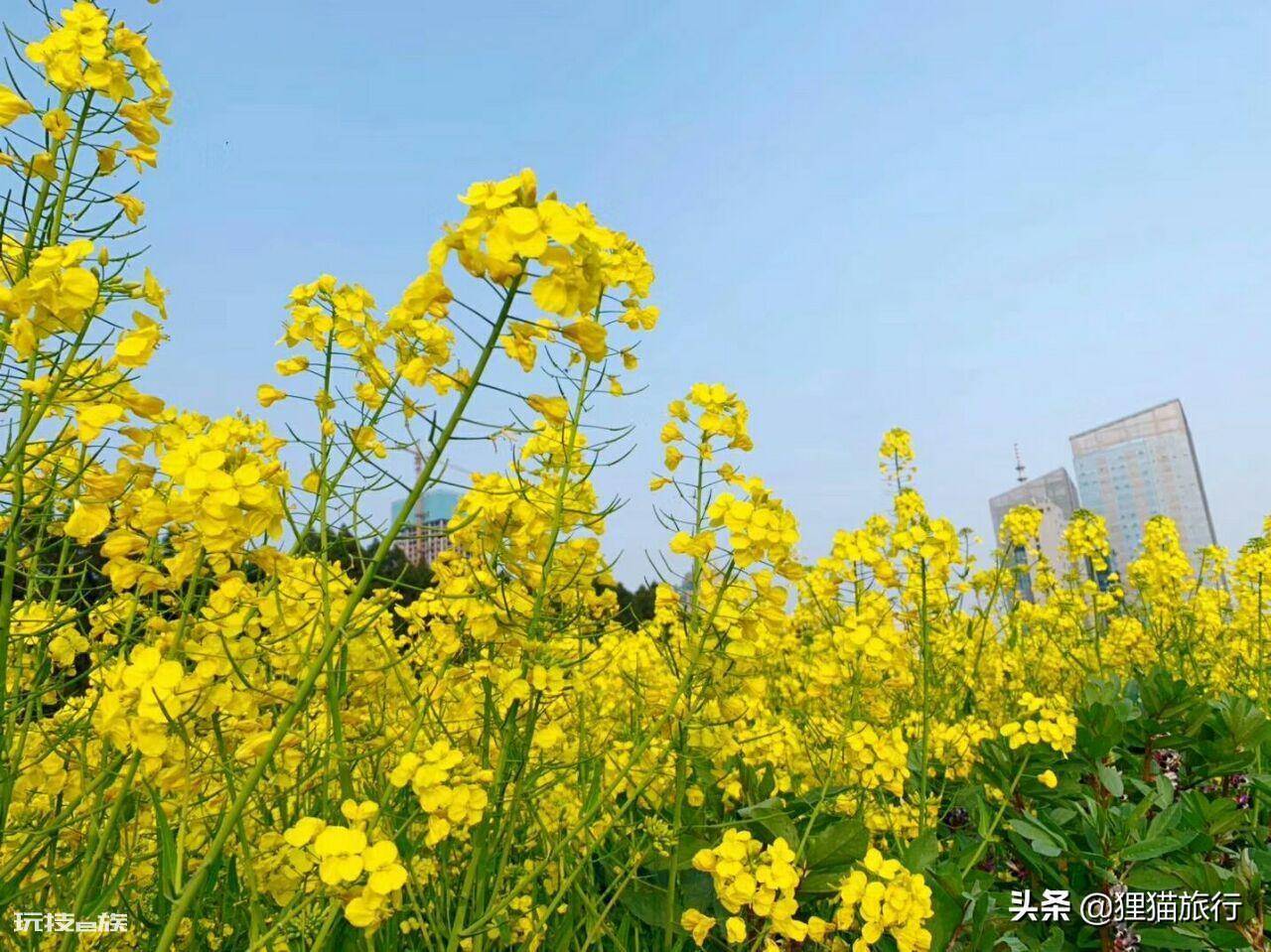沙发客是什么意思(旅游中沙发客的优点缺点)-图片2